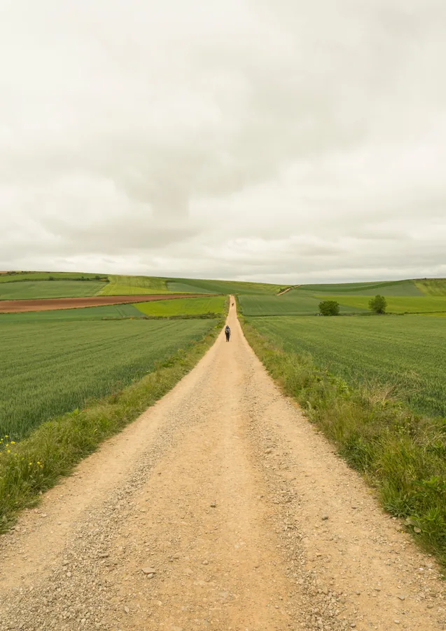 Camino abierto entre campos
